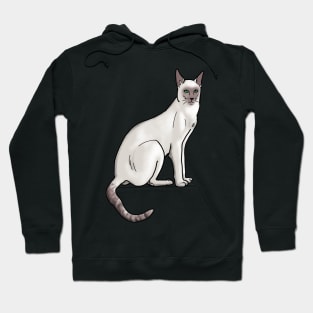 Siamese Cat on Teal Hoodie